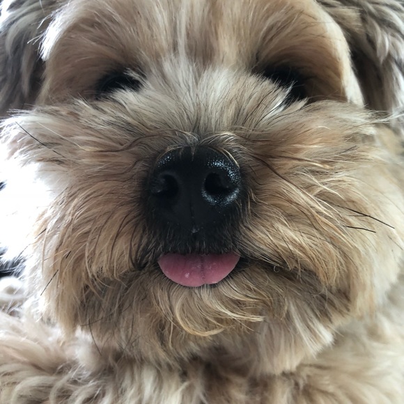 About My Home & Closet - Picture 4 of 7